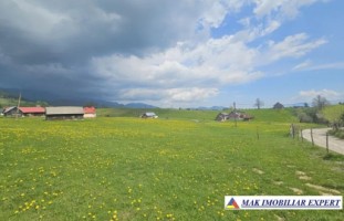 teren-6600-mp-extravilan-sirnea-brasov-ciocanu-dambovicioara-arges-3