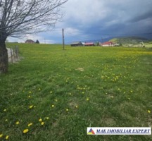 teren-6600-mp-extravilan-sirnea-brasov-ciocanu-dambovicioara-arges-4