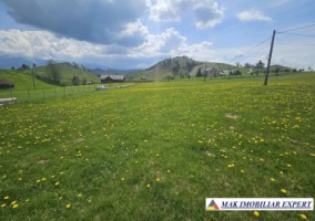 teren-6600-mp-extravilan-sirnea-brasov-ciocanu-dambovicioara-arges-5