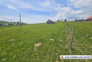 teren-6600-mp-extravilan-sirnea-brasov-ciocanu-dambovicioara-arges-7