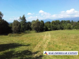 teren-de-vanzare-7684-mp-intravilan-in-valea-barbusii-chilii-campulung-muscel-arges