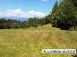 teren-de-vanzare-7684-mp-intravilan-in-valea-barbusii-chilii-campulung-muscel-arges-1