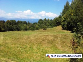 teren-de-vanzare-7684-mp-intravilan-in-valea-barbusii-chilii-campulung-muscel-arges-2