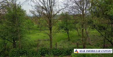 vand-teren-7550-mp-intravilan-in-valea-bradului-mihaesti-arges-1
