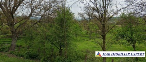vand-teren-7550-mp-intravilan-in-valea-bradului-mihaesti-arges