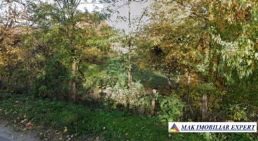 vand-teren-7550-mp-intravilan-in-valea-bradului-mihaesti-arges-4