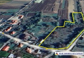 vand-teren-7550-mp-intravilan-in-valea-bradului-mihaesti-arges-8