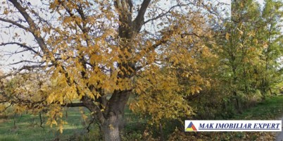 vand-teren-7550-mp-intravilan-in-valea-bradului-mihaesti-arges-6