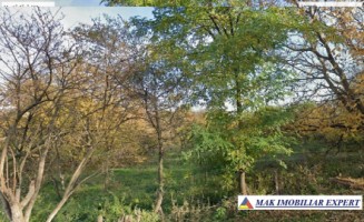 vand-teren-7550-mp-intravilan-in-valea-bradului-mihaesti-arges-5