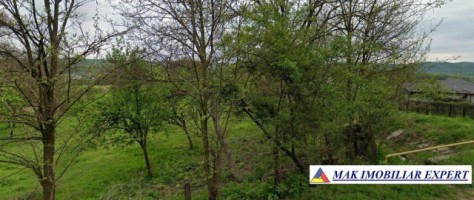 vand-teren-7550-mp-intravilan-in-valea-bradului-mihaesti-arges-2