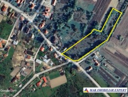 vand-teren-7550-mp-intravilan-in-valea-bradului-mihaesti-arges-7