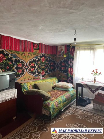 vand-casa-batraneasca-5-camere-teren-1000-mp-bonus-1ha-in-malu-godeni-arges-5
