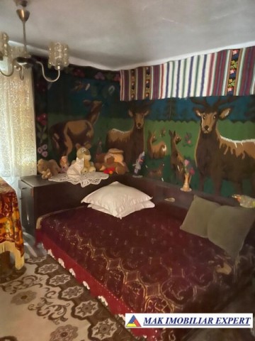 vand-casa-batraneasca-5-camere-teren-1000-mp-bonus-1ha-in-malu-godeni-arges-16