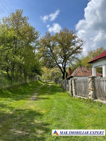 vand-casa-batraneasca-5-camere-teren-1000-mp-bonus-1ha-in-malu-godeni-arges-27