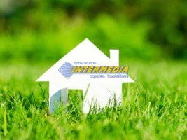 teren-intravilan-600mp-de-vanzare-zona-sard-6