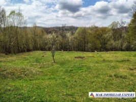 tel-inactiv-vand-teren-2317-mp-bradulet-valea-valsanului-arges-intravilan-2