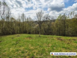 tel-inactiv-vand-teren-2317-mp-bradulet-valea-valsanului-arges-intravilan