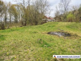 tel-inactiv-vand-teren-2317-mp-bradulet-valea-valsanului-arges-intravilan-1