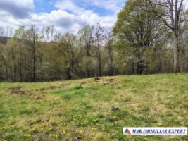 tel-inactiv-vand-teren-2317-mp-bradulet-valea-valsanului-arges-intravilan-3