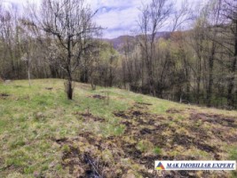 tel-inactiv-vand-teren-2317-mp-bradulet-valea-valsanului-arges-intravilan-4