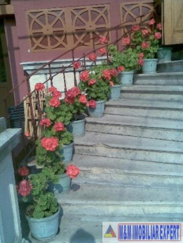 vila-de-vanzare-in-centru-campulung-muscel-arges-5-camere-teren-235-mp-8