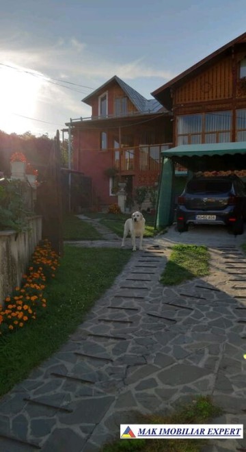vila-de-vanzare-in-centru-campulung-muscel-arges-5-camere-teren-235-mp-5