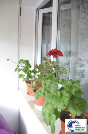 busteni-apartament-cu-doua-camere-ultracentral-5