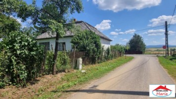casa-cu-teren-in-viile-satu-mare