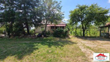 casa-cu-teren-in-viile-satu-mare-3