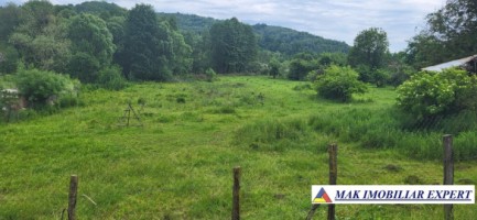 vand-4-parcele-alaturate-de-teren-intravilan-in-bughea-de-jos-arges-separat-sau-total-8509-mp-1