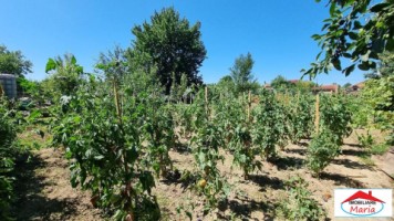 casa-finisata-in-lazuri-cu-teren-1452-mp-12