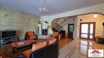 casa-vila-cu-teren-1224-mp-zona-liviu-rebreanu-semicentral-12