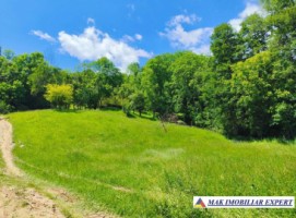 teren-3800-mp-intra-extravilan-de-vanzare-in-slatina-nucsoara-arges