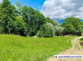 teren-3800-mp-intra-extravilan-de-vanzare-in-slatina-nucsoara-arges-1