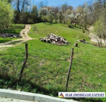 teren-3800-mp-intra-extravilan-de-vanzare-in-slatina-nucsoara-arges-2