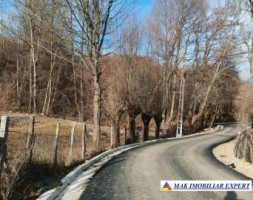 teren-3800-mp-intra-extravilan-de-vanzare-in-slatina-nucsoara-arges-3