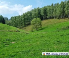 vand-casa-3-camere-teren-3667-ha-intra-extravilan-in-fundata-brasov-3