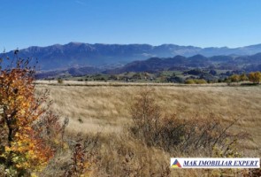 teren-13-ha-de-vanzare-extravilan-in-ciocanu-dambovicioara-arges