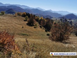 teren-13-ha-de-vanzare-extravilan-in-ciocanu-dambovicioara-arges-5
