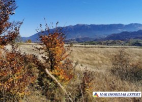 teren-13-ha-de-vanzare-extravilan-in-ciocanu-dambovicioara-arges-2