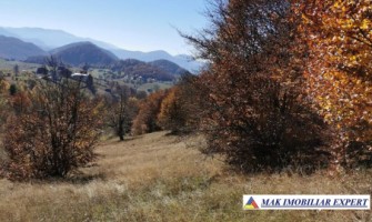 teren-13-ha-de-vanzare-extravilan-in-ciocanu-dambovicioara-arges-6