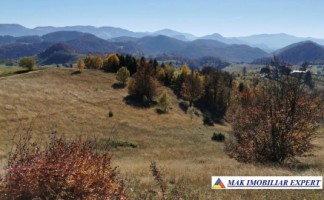 teren-13-ha-de-vanzare-extravilan-in-ciocanu-dambovicioara-arges-4