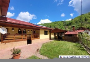vila-la-munte-7-canere-de-vanzare-teren-1340-mp-bradulet-arges-1