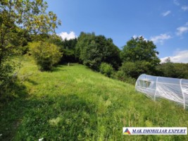 exclusivitate-vand-teren-168008-mp-intravilan-in-rucar-arges-6