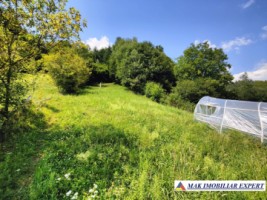 exclusivitate-vand-teren-168008-mp-intravilan-in-rucar-arges-7