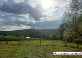 teren-agricol-7600-mp-extravilan-in-jugur-poenarii-de-muscel-arges