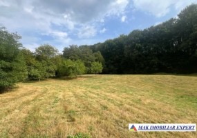 teren-agricol-7600-mp-extravilan-in-jugur-poenarii-de-muscel-arges-1