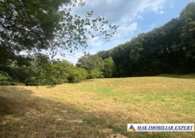 teren-agricol-7600-mp-extravilan-in-jugur-poenarii-de-muscel-arges-2
