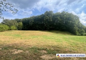 teren-agricol-7600-mp-extravilan-in-jugur-poenarii-de-muscel-arges-3