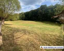 teren-agricol-7600-mp-extravilan-in-jugur-poenarii-de-muscel-arges-4